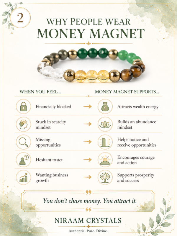 Money Magnet Bracelet