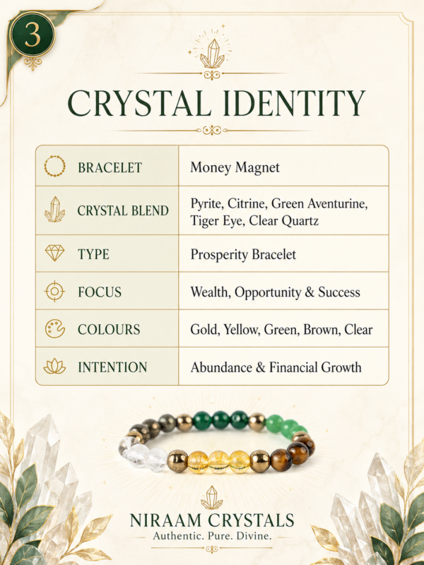 Money Magnet Bracelet