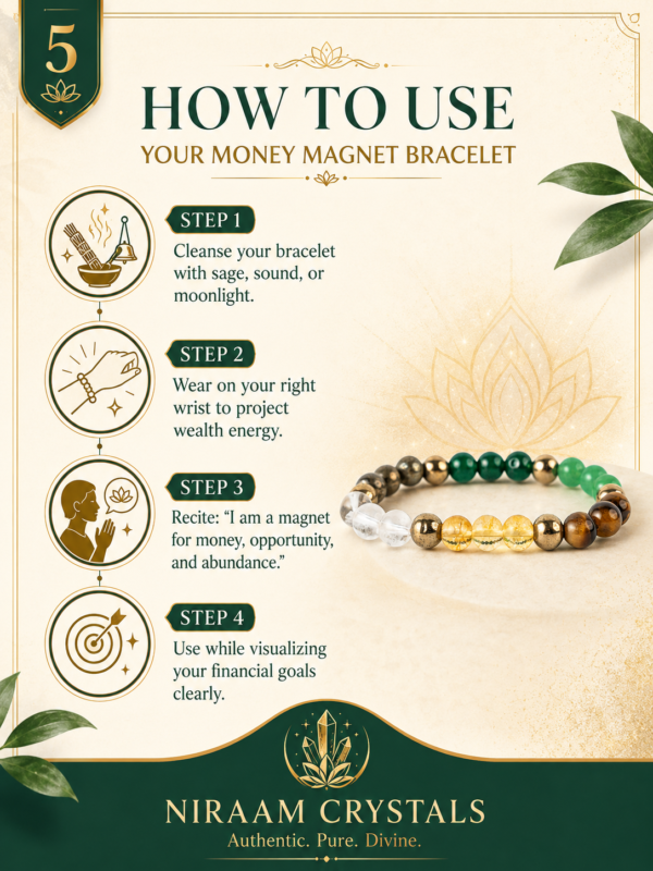 Money Magnet Bracelet