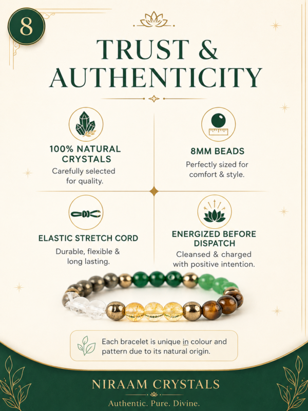 Money Magnet Bracelet