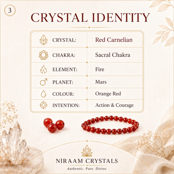 Red Carnelian Bracelet