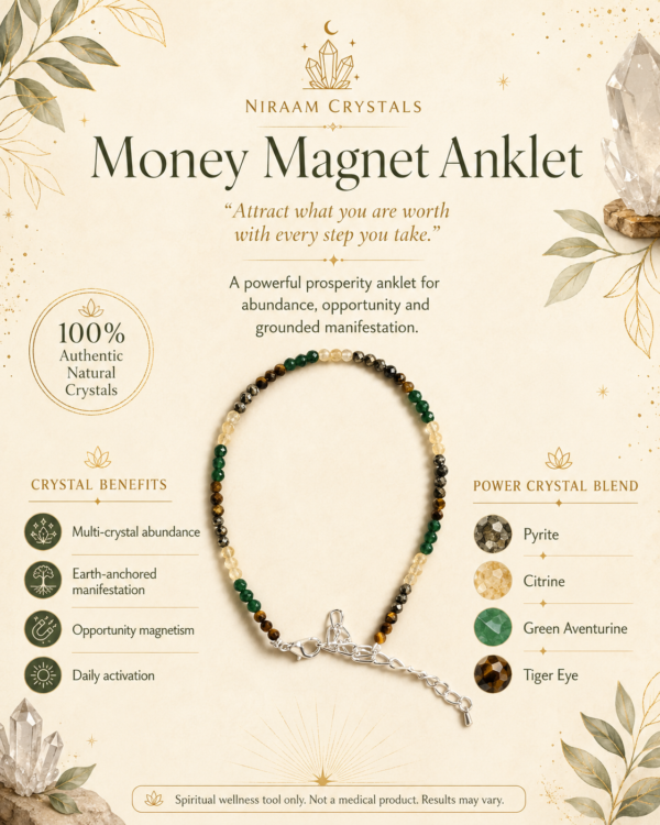 Money Magnet Anklet