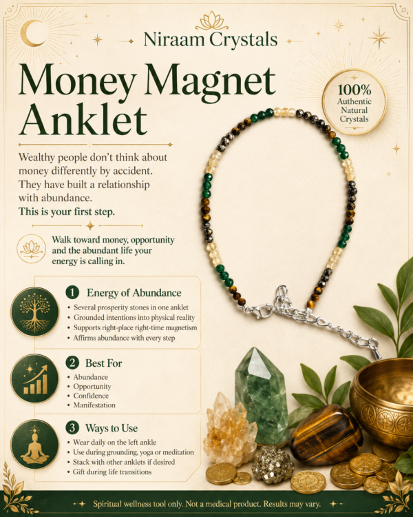 Money Magnet Anklet